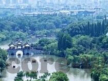 竞彩足球比分直播新浪-新浪竞彩足球比分直播，足球迷的实时盛宴与深度解析