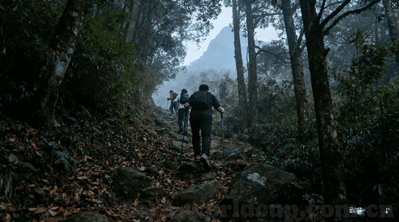世界杯彩票猜中多少钱-世界杯彩票猜中多少钱，幸运与智慧的碰撞